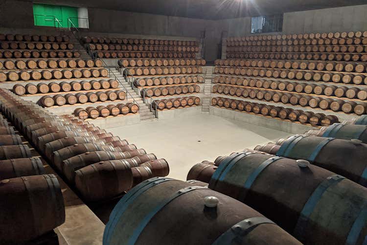 La barricaia - Rocca di Frassinello, tour virtuale fra vini minerali e accoglienza