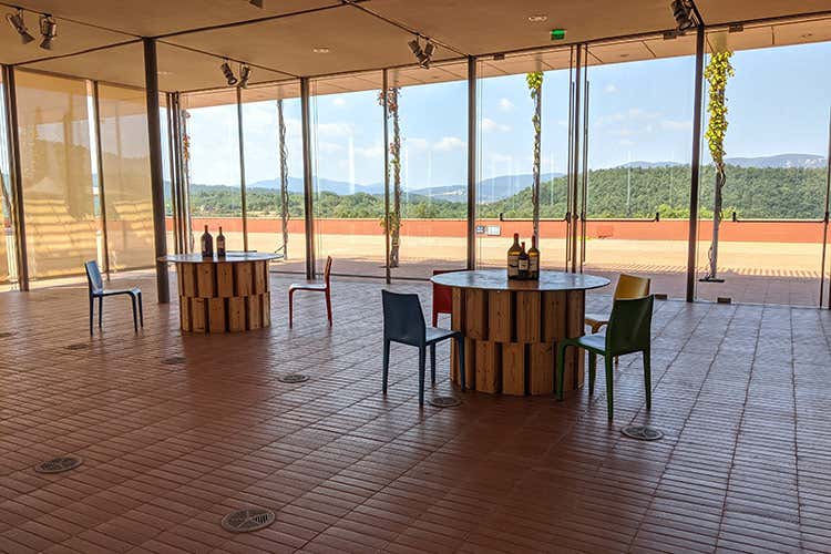 L'ampia sala degustazione - Rocca di Frassinello, tour virtuale fra vini minerali e accoglienza