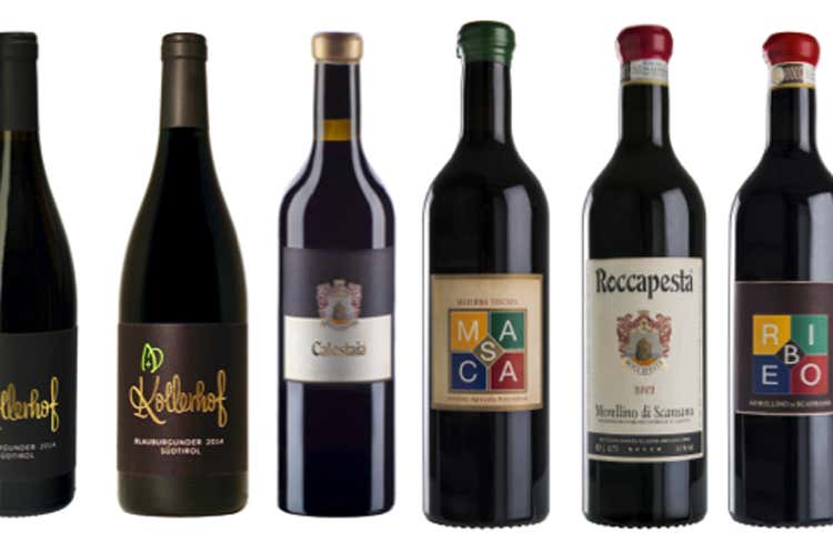 Roccapesta e Kollerhof con Pellegrini Da Toscana e Alto Adige vino di qualità Roccapesta e Kollerhof con Pellegrini Da Toscana e Alto Adige vino di qualità