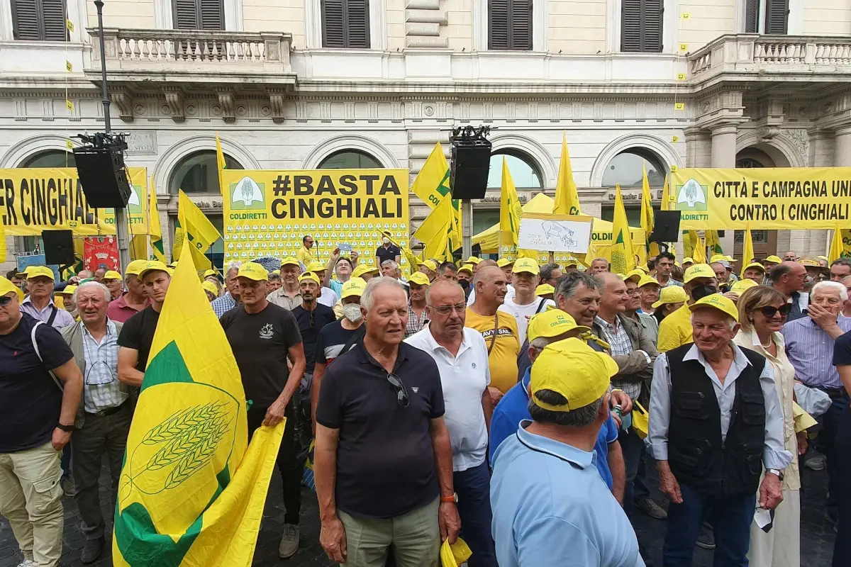 La manifestazione a Roma di Coldiretti contro la peste suina Roma invasa dagli agricoltori: &ldquo;Fermiamo i cinghiali, distruggono tutto&rdquo;