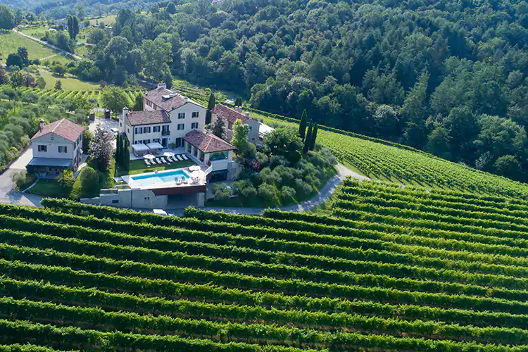 In mezzo ai filari, una lussuosa e romantica casa di campagna Vacanze senza filtri nella natura In vigna, al fiume o sulla spiaggia