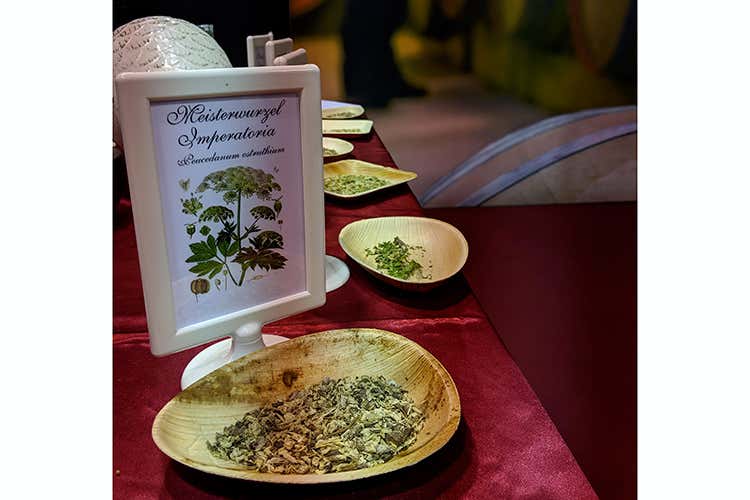 Una delle tante "botanicals", a scelta dei clienti per il loro "gin ideale" (Roner: Cambiare restando se stessi Tra le novit&agrave;, l'amaro alle erbe K32)