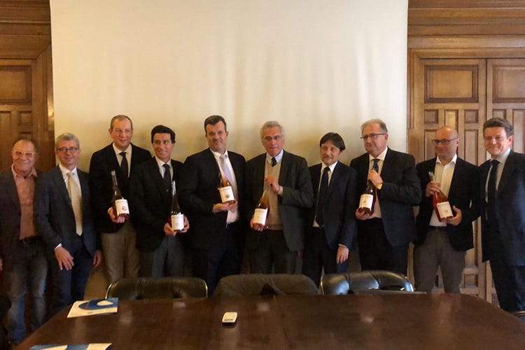 Rosautoctono, 6 denominazioni unite 
per promuovere il rosato italiano