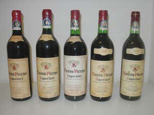 Rosso piceno superiore Cocci Grifoni