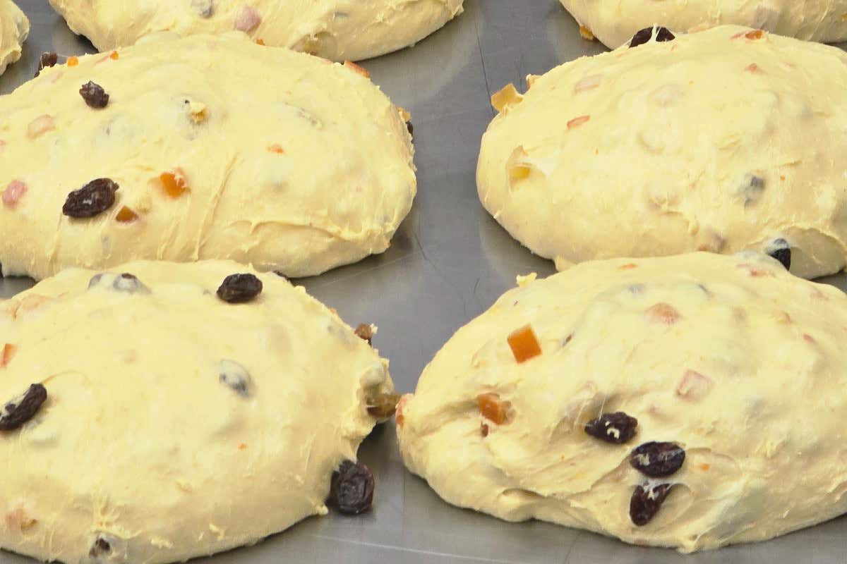 Tradizione e visioni del panettone: maestri del lievito madre e pasticceri a confronto