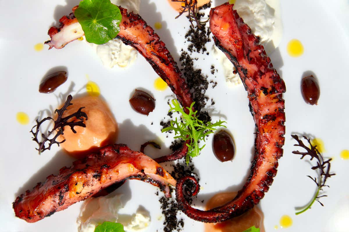 Bruna Bistrò: il ristorante che trasforma i piatti della nonna in esperienze gourmet