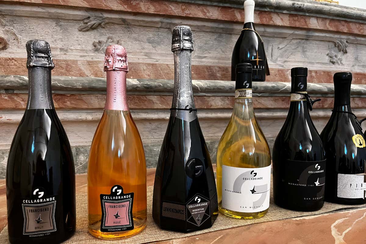 In Piemonte c’è un vino che matura nel lago di Viverone: la “Piroga Benedettina”