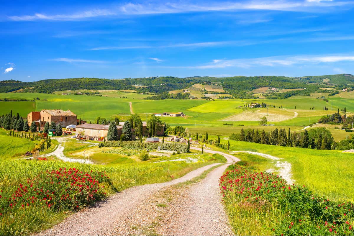 Il valore degli agriturismi è di 1,9 miliardi e cresce in media del 5,3% ogni anno