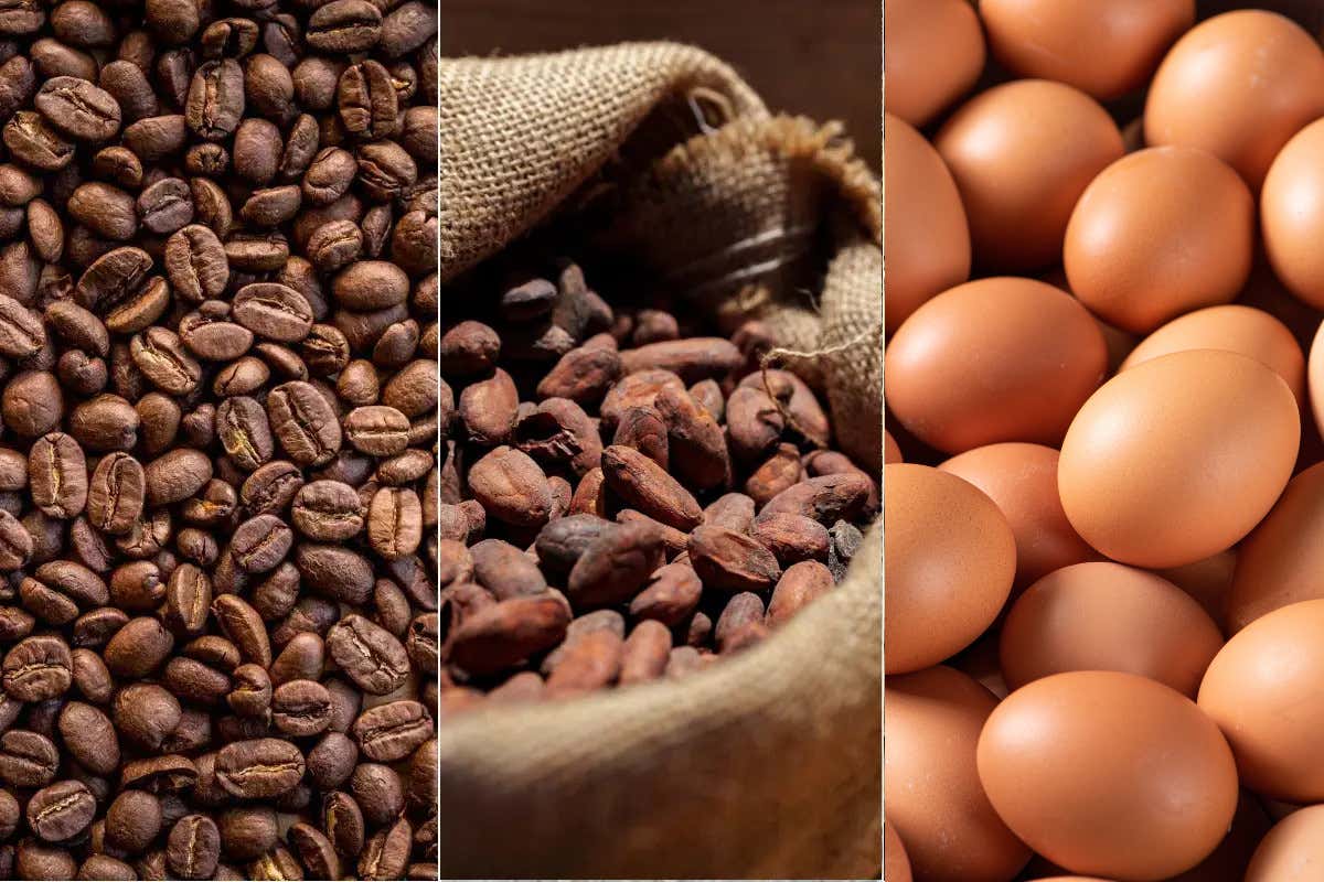 I prezzi di caffè e cacao tornano a correre, uova ai minimi degli ultimi mesi