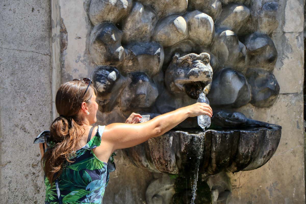 Dal malessere al colpo di calore: come il caldo mette sotto stress l’organismo