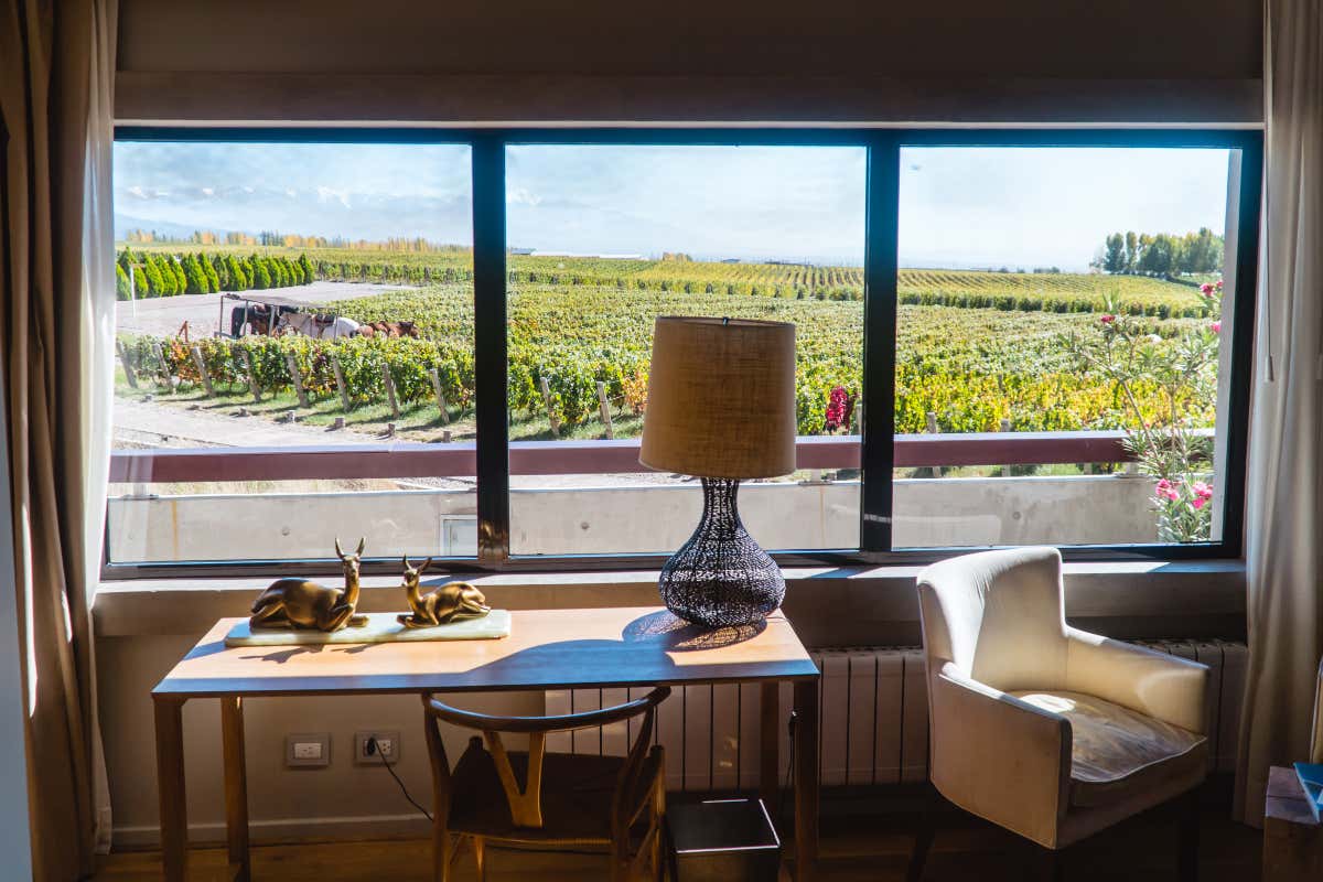 Enoturismo: in Campania un nuovo modello tra cultura, vino e accoglienza Enoturismo: in Campania un nuovo modello tra cultura, vino e accoglienza