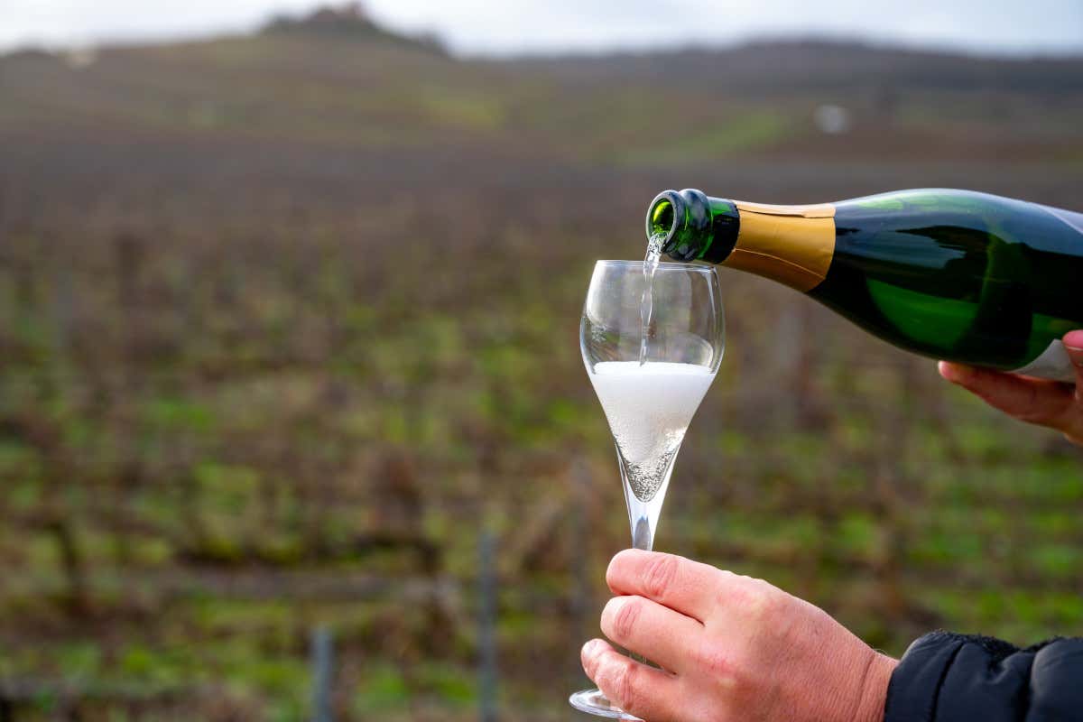 Zucchero nel vino fermo Dop: la mossa francese che mette l’Italia con le spalle al muro