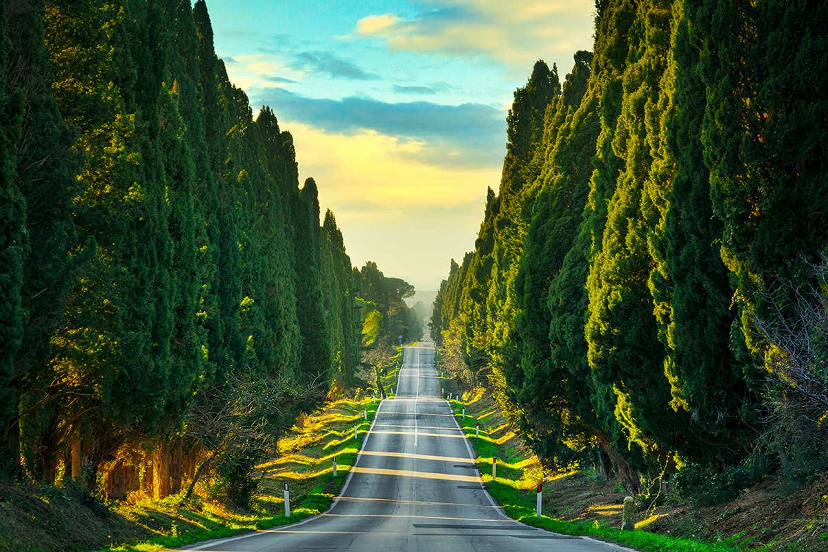 £$L’Italia del vino$£: tre Bolgheri simbolo di eleganza e carattere