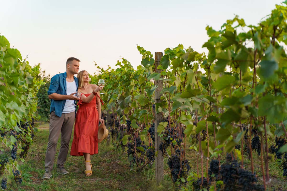 L'enoturismo italiano batte quello spagnolo