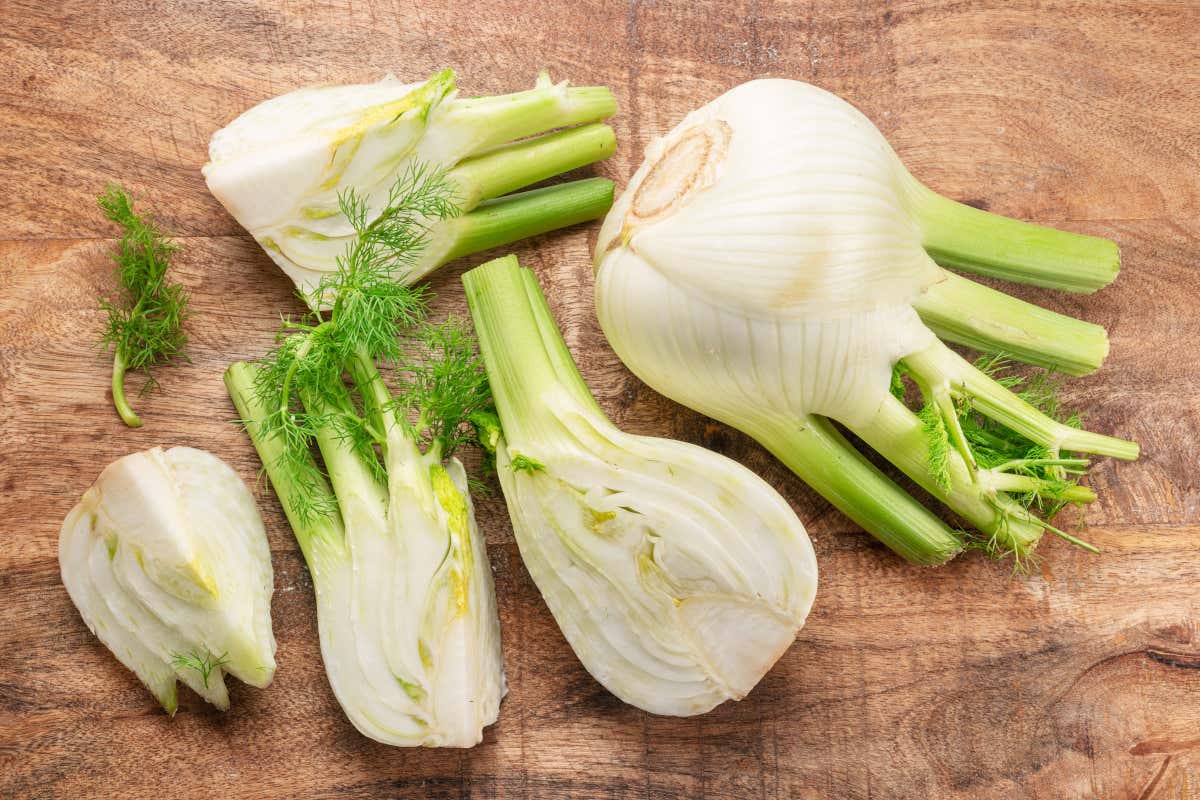 Finocchio, l’ortaggio versatile per piatti leggeri e nutrienti Finocchio, l’ortaggio versatile per piatti leggeri e nutrienti