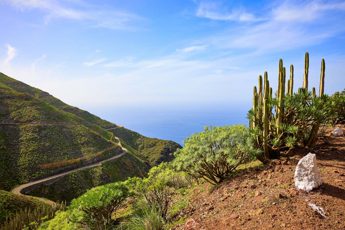 Gran Canaria segreta: itinerario tra arte, rum, natura e sapori locali
Gran Canaria segreta: itinerario tra arte, rum, natura e sapori locali