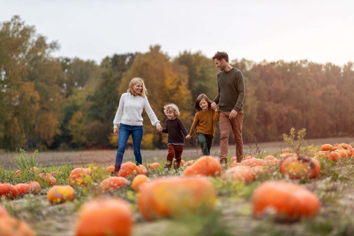 Halloween nei campi di zucche: vivere lo zuccaturismo in Italia zuccaturismo