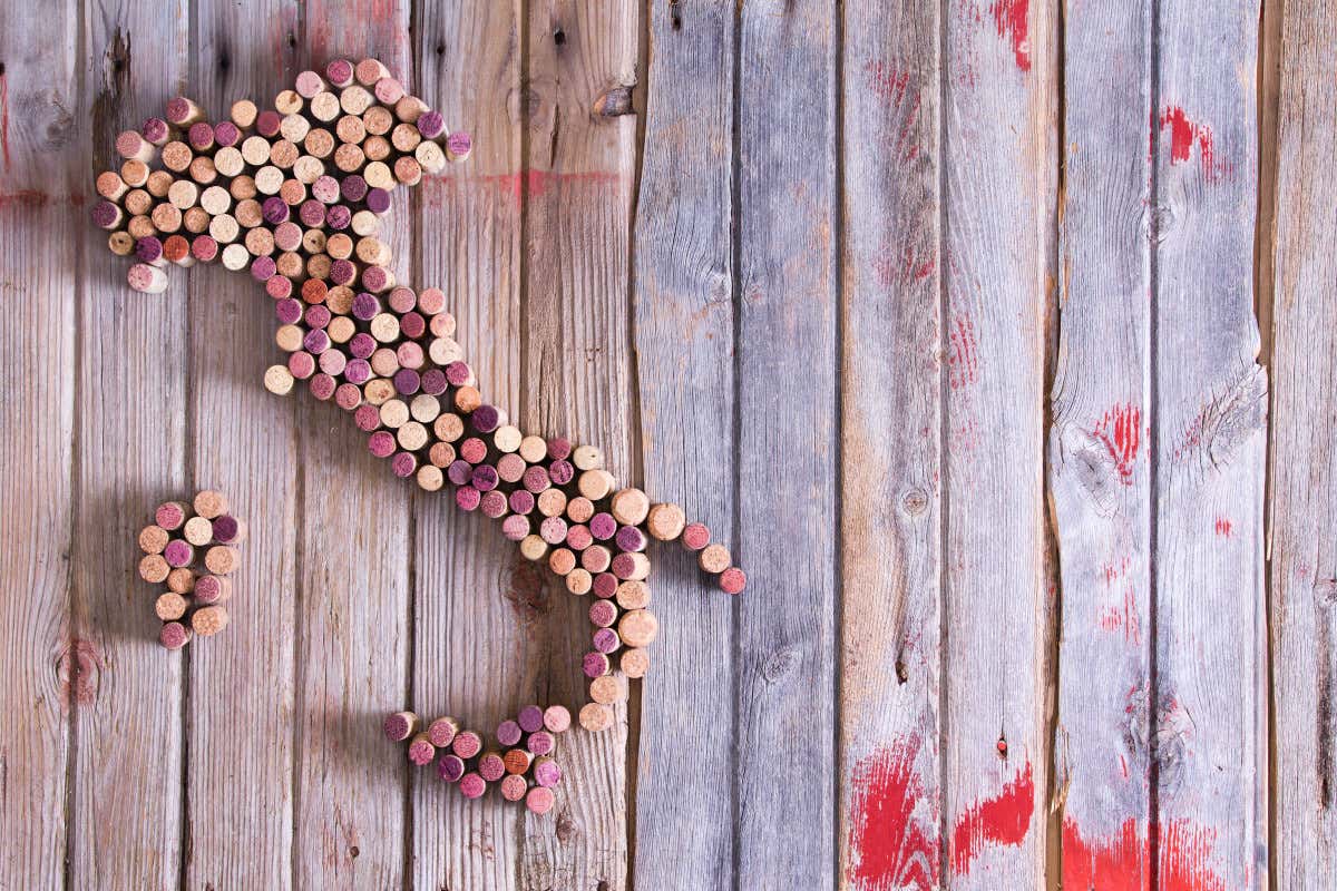 Consorzi del vino: meno rese, più valore. Come cambia il modello produttivo italiano