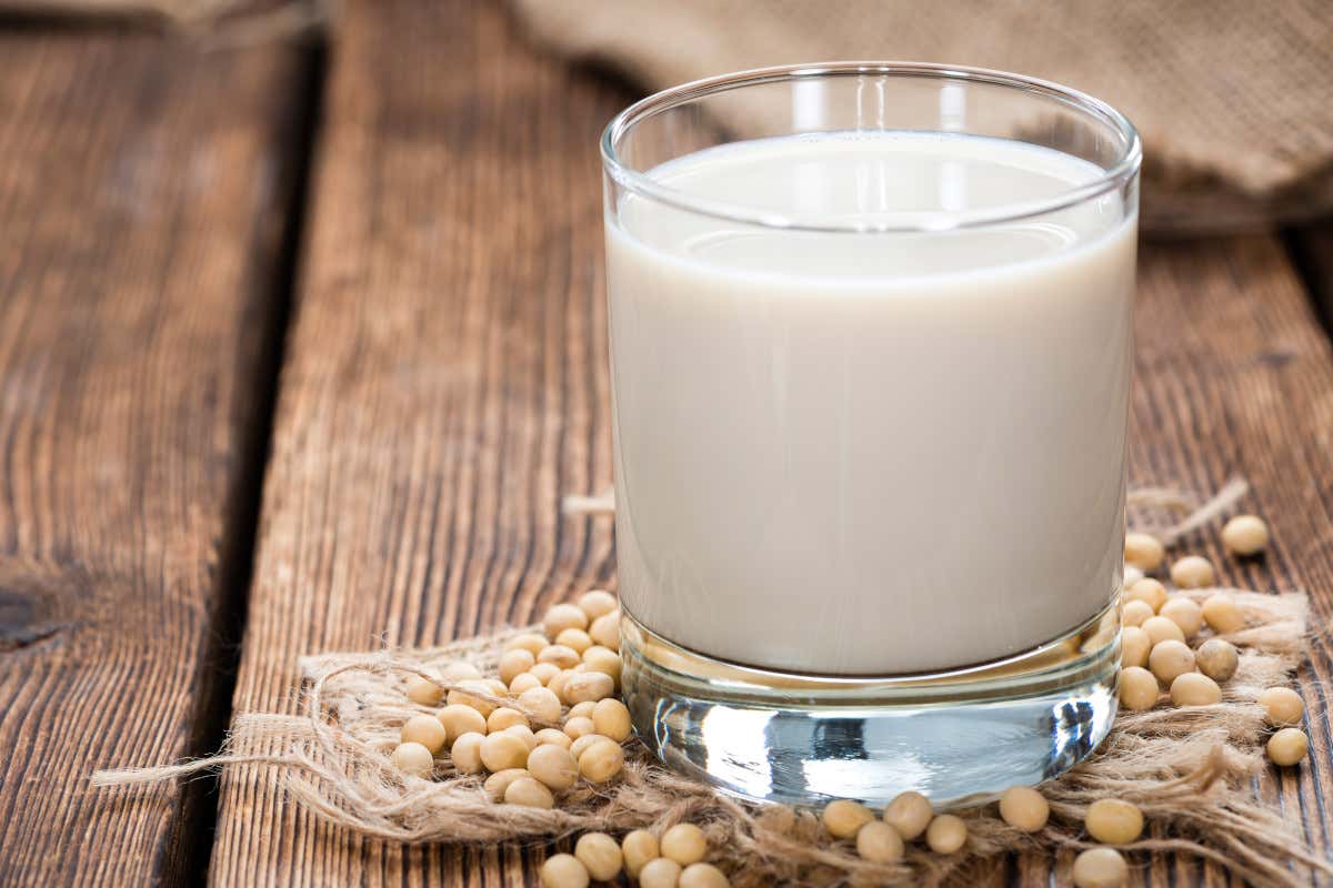 Il plant based italiano vale 669 milioni, ma rallentano le alternative vegetali alla carne Il plant based italiano vale 669 milioni, ma rallentano le alternative vegetali alla carne