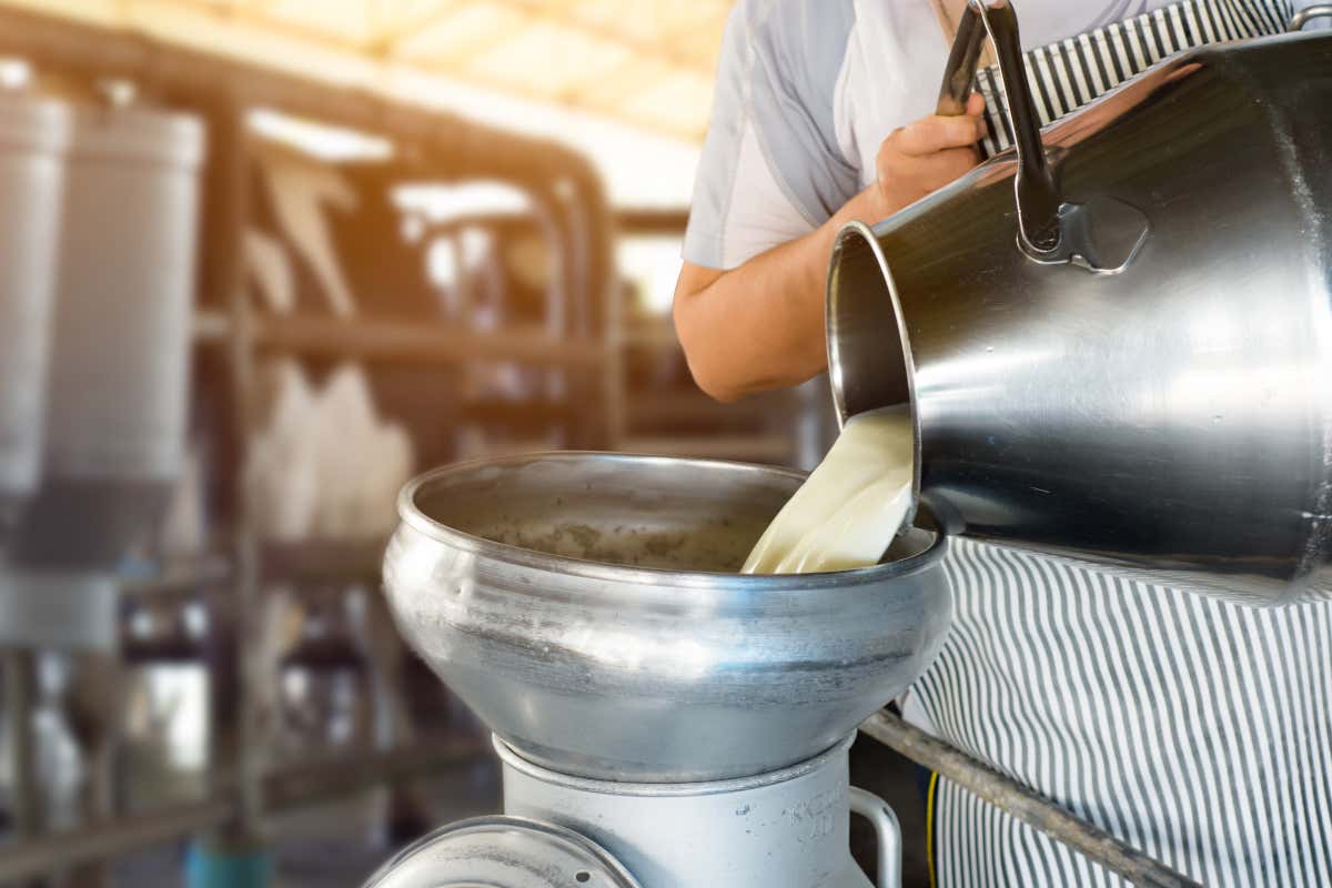 Lombardia leader nella filiera del latte: 46% della produzione italiana Lombardia leader nella filiera del latte: 46% della produzione italiana