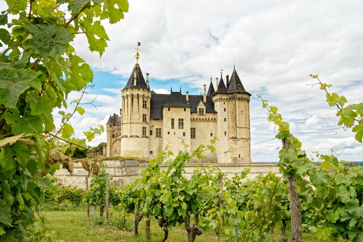 La Valle della Loira resta una delle regioni più articolate del panorama vitivinicolo europeo