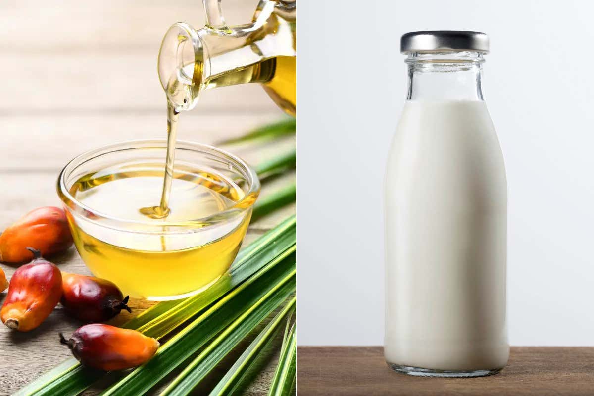 I prezzi dell’olio di palma e del latte sono in forte ribasso