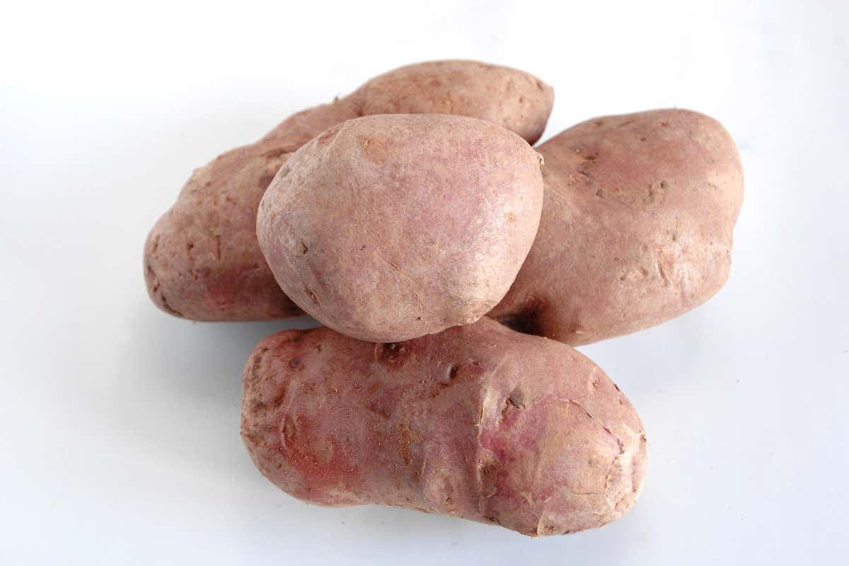 Giornata internazionale della patata: il tubero che unisce arte, poesia e cucina Giornata internazionale della patata: il tubero che unisce arte, poesia e cucina