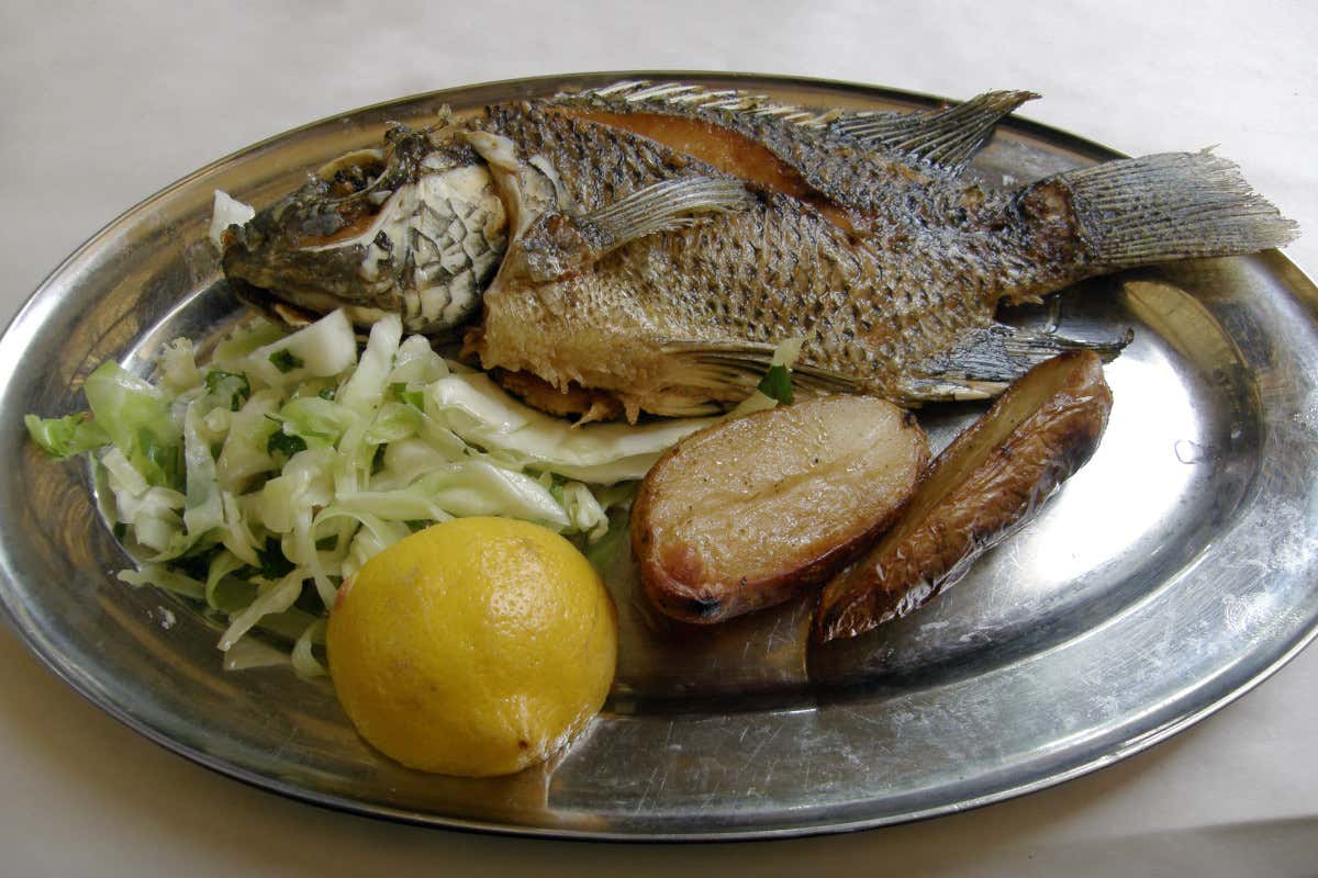 Il Pesce San Pietro
