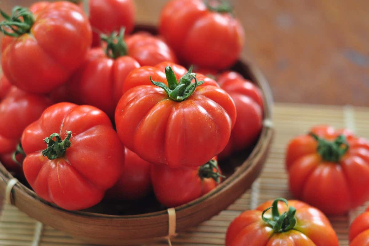 Cucina italiana e Unesco: perché il dibattito rischia di essere più povero del riconoscimento Cucina italiana e Unesco: perché il dibattito rischia di essere più povero del riconoscimento