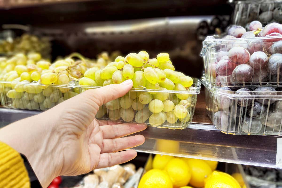 Ortofrutta, consumi stabili, ma il Biologico è in crescita nel carrello degli italiani Ortofrutta, consumi stabili, ma il Biologico è in crescita nel carrello degli italiani