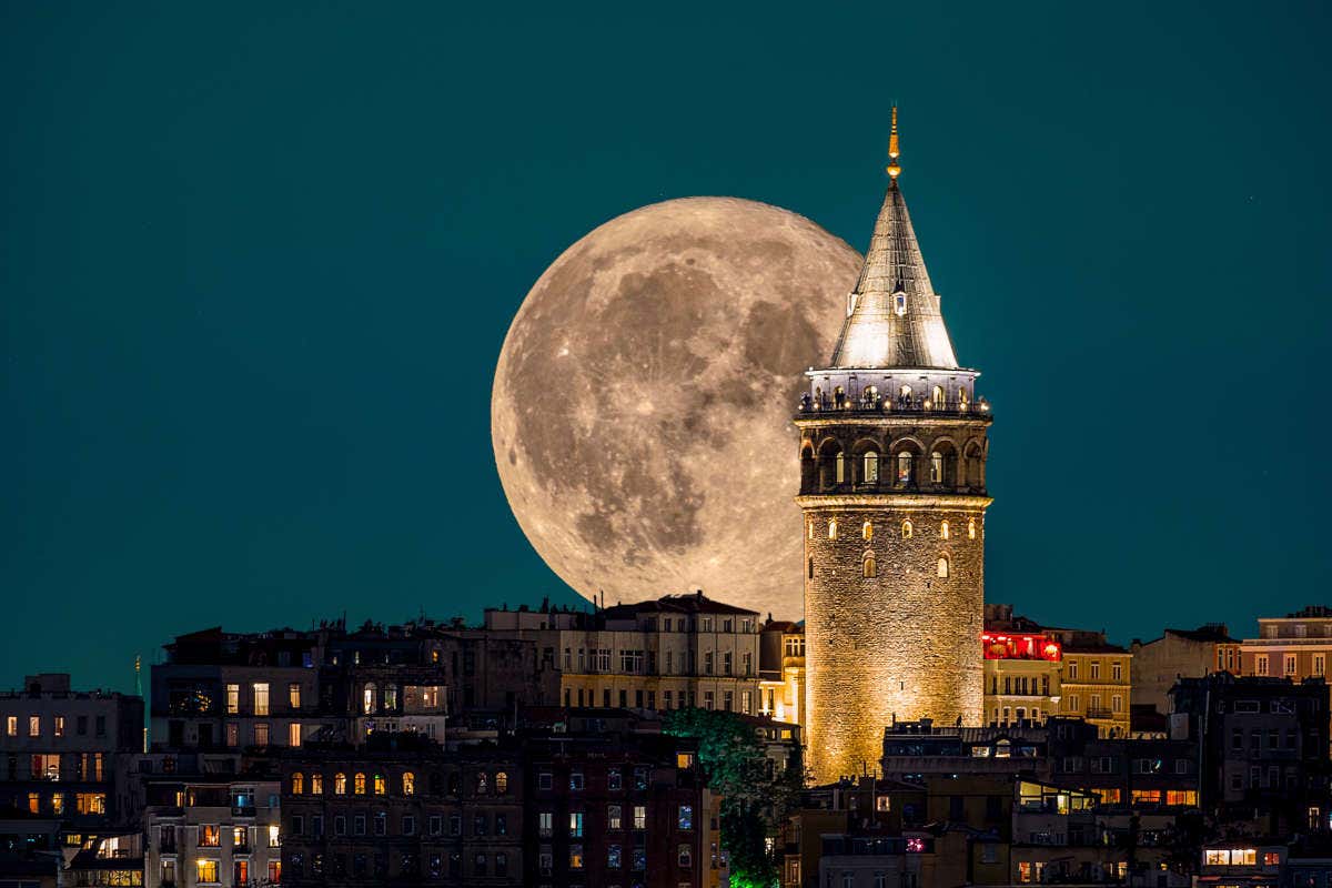 Festival dei tulipani ad Istanbul: un'occasione perfetta per visitare la città Festival dei tulipani ad Istanbul: un'occasione perfetta per visitare la città