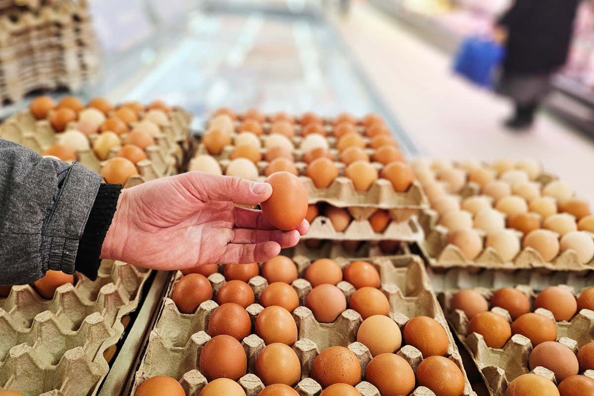 Il biologico cresce e costa meno, ma vale appena il 3,8% della spesa