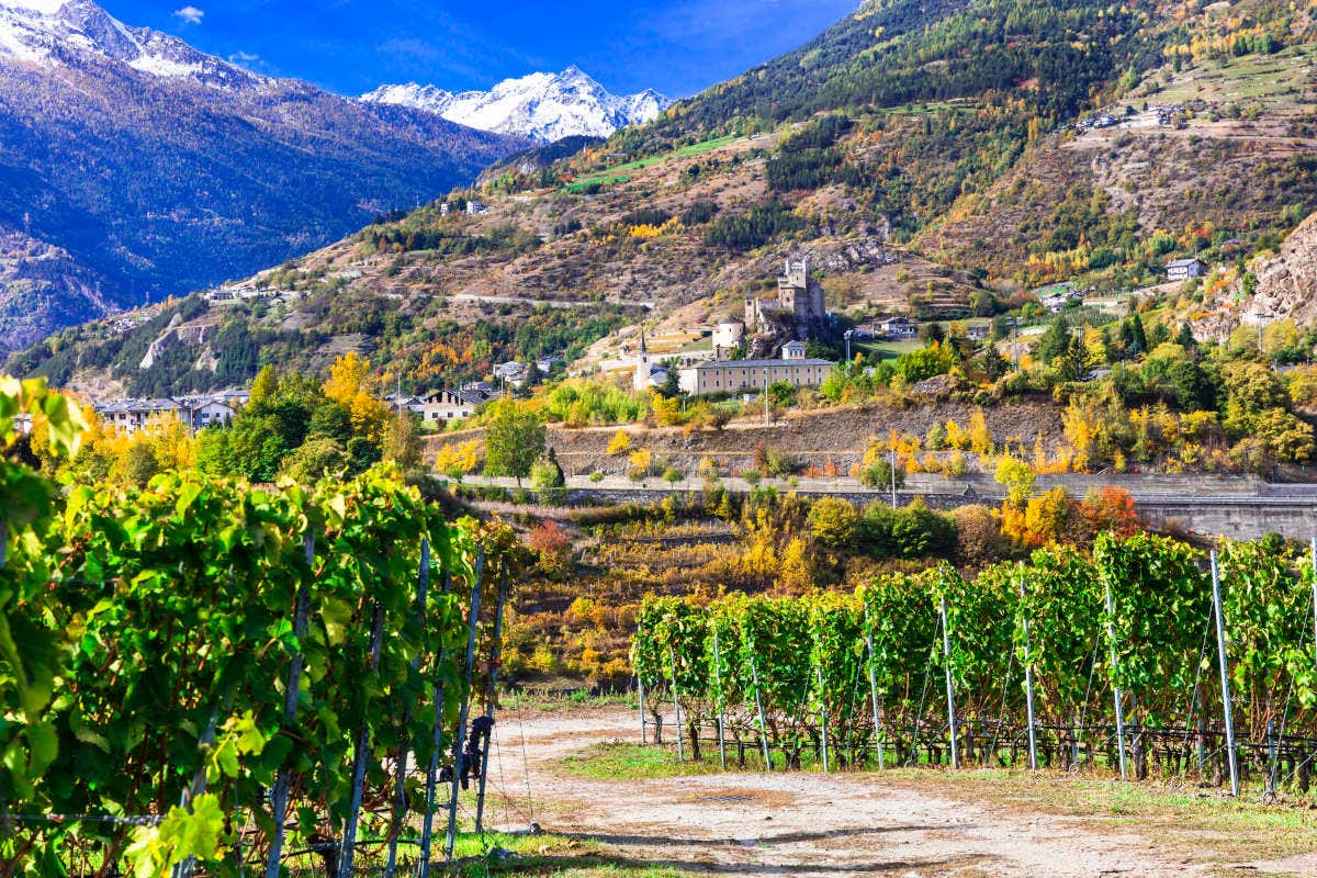 £$L'Italia del vino$£: tre Fumin per un assaggio di Val d'Aosta £$L'Italia del vino$£: tre Fumin per un assaggio di Val d'Aosta