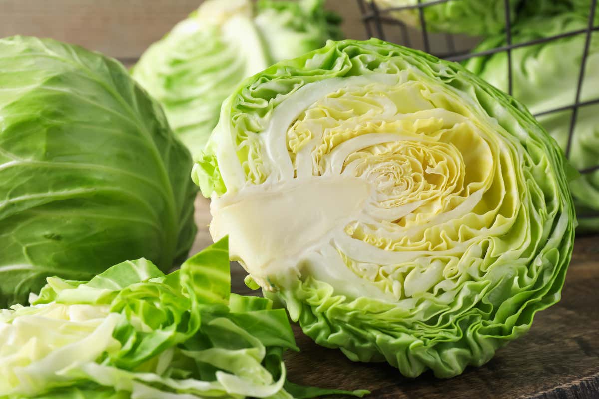 Vitamine, fibre e minerali: la verza è uno degli ortaggi più completi dell’inverno Vitamine, fibre e minerali: la verza è uno degli ortaggi più completi dell’inverno