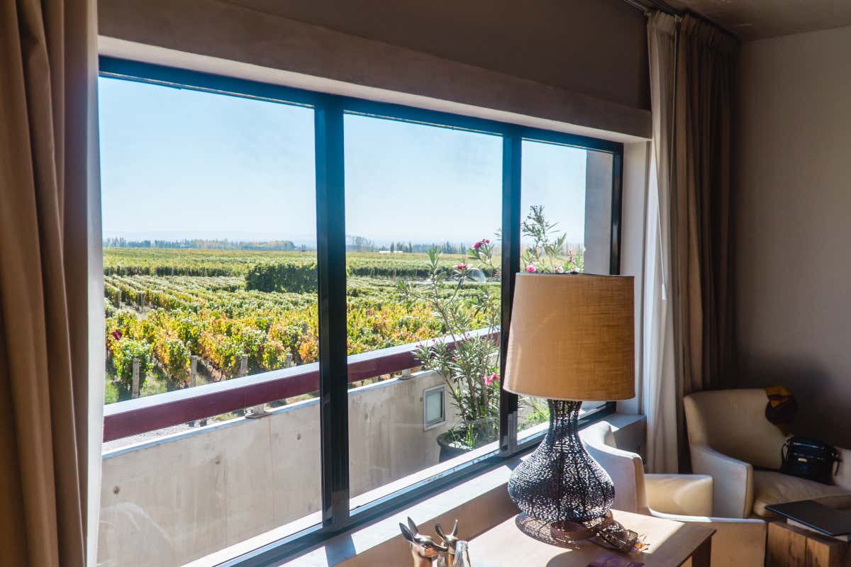 Dormire tra i filari significa rallentare tra vino, territorio e cultura gastronomica