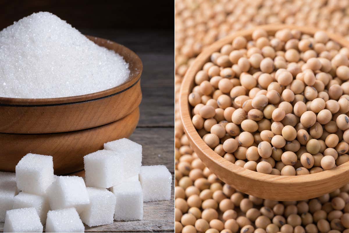 Zucchero e soia, mercati agricoli in movimento ZUCCHERO Zucchero e soia, mercati agricoli in movimento ZUCCHERO