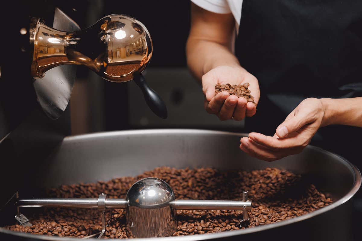 Perché il caffè è complesso come il vino ma nessuno lo racconta
