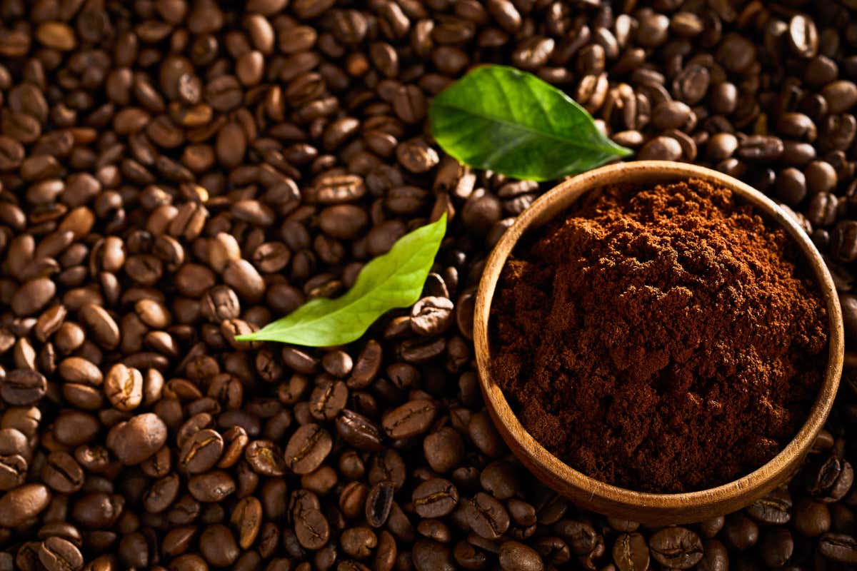 Dal bar al TikTok: il caffè diventa il nuovo vino degli italiani