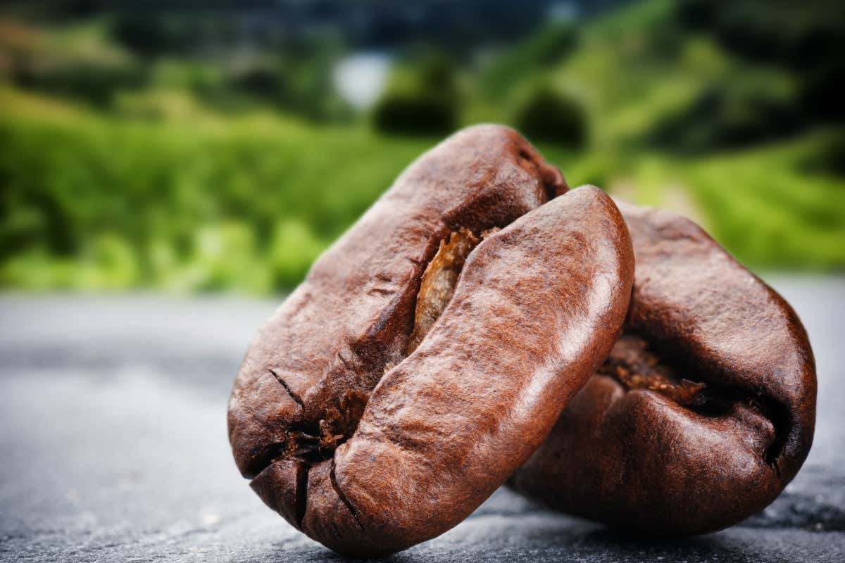 Dal bar al TikTok: il caffè diventa il nuovo vino degli italiani