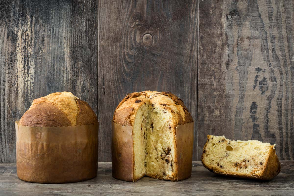 Una Mole di Panettoni 2025: Torino torna a raccontare il panettone artigianale