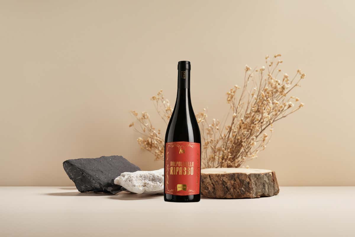 Valpolicella: l'approccio di Cantina Mizzon ai grandi rossi veneti