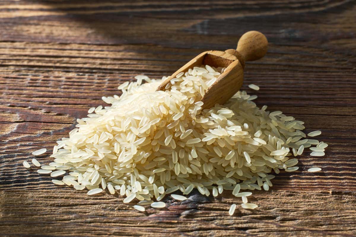 “Paesaggi del Cibo”: riso e comunità rurali nel confronto tra Italia e Giappone