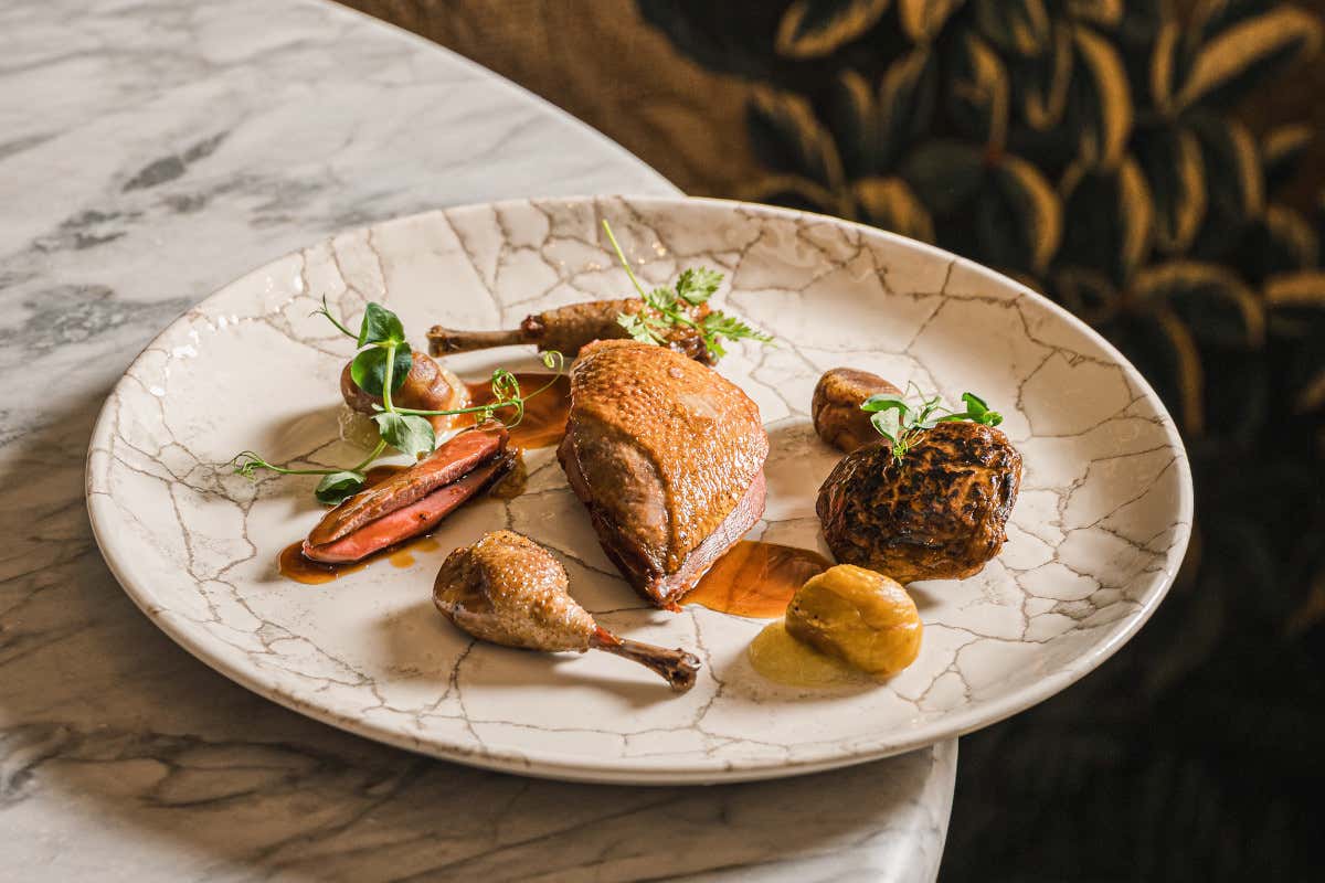 Gli Affreschi: Piccione il suo fondo, radici, rabarbaro