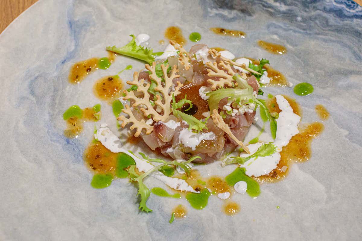 Terradimare, un ambiente familiare per una cucina territoriale a Trani