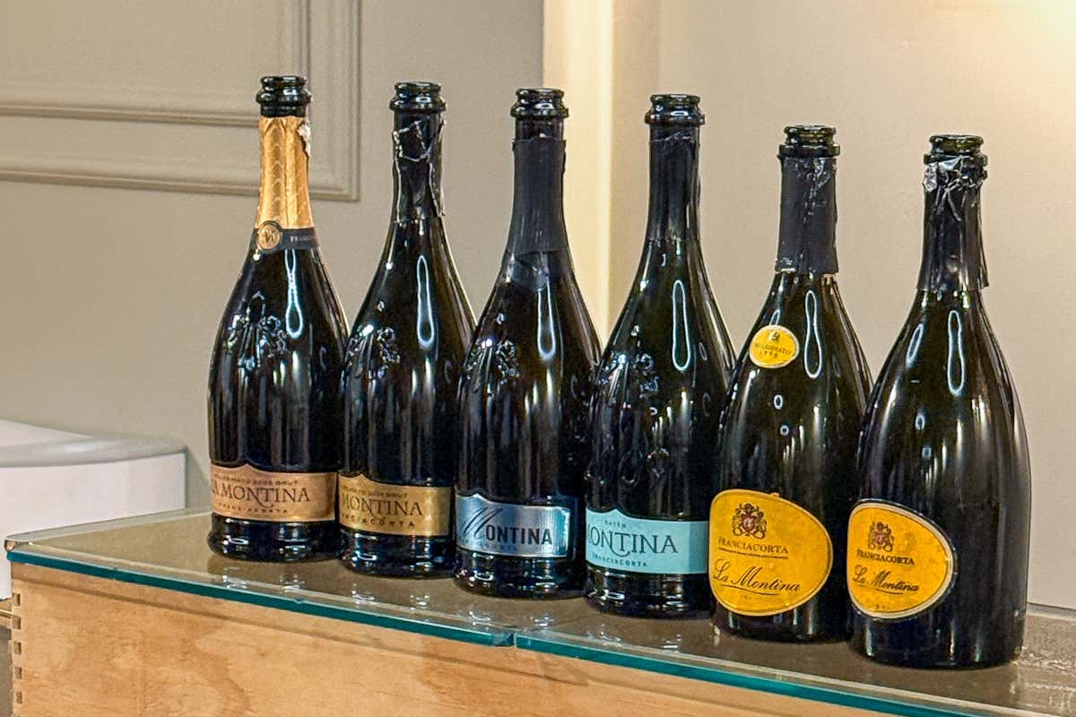 Il tempo come ingrediente segreto: i vini di Montina che sfidano le epoche