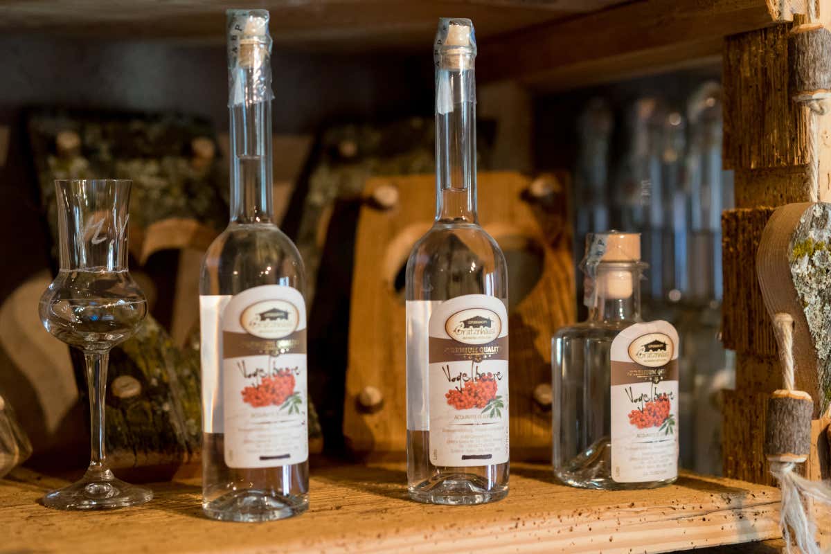 Gassenhof amplia l’offerta con la Genusshaus: degustazioni e autoproduzione Gassenhof amplia l’offerta con la Genusshaus: degustazioni e autoproduzione