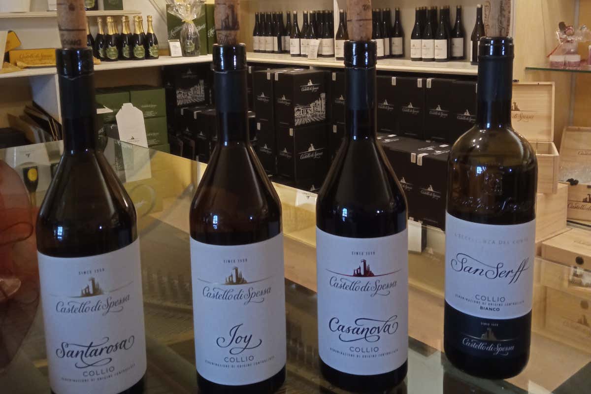 La Vigna dei 3 Pinot al Castello di Spessa: tre varietà, un solo terroir La Vigna dei 3 Pinot al Castello di Spessa: tre varietà, un solo terroir