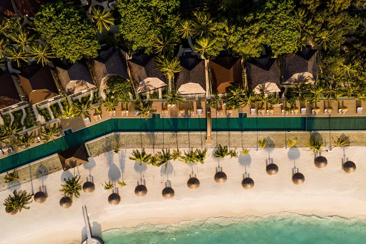 Ospitalità consapevole: la vegetazione spontanea dell'isola, protetta secondo i rigidi standard ambientali che sono valsi al resort la certificazione Travelife Gold