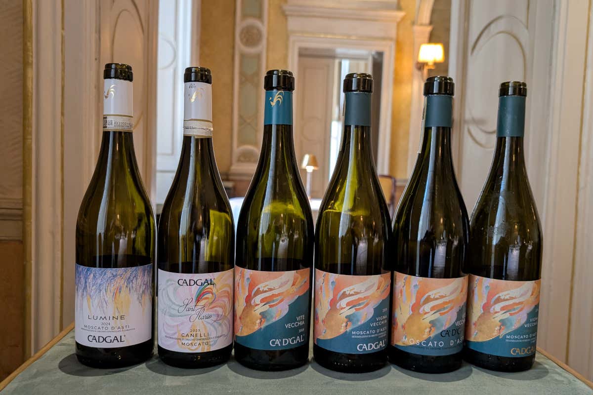 Moscato d'Asti, Cadgal rilancia con stile con etichette contemporanee
