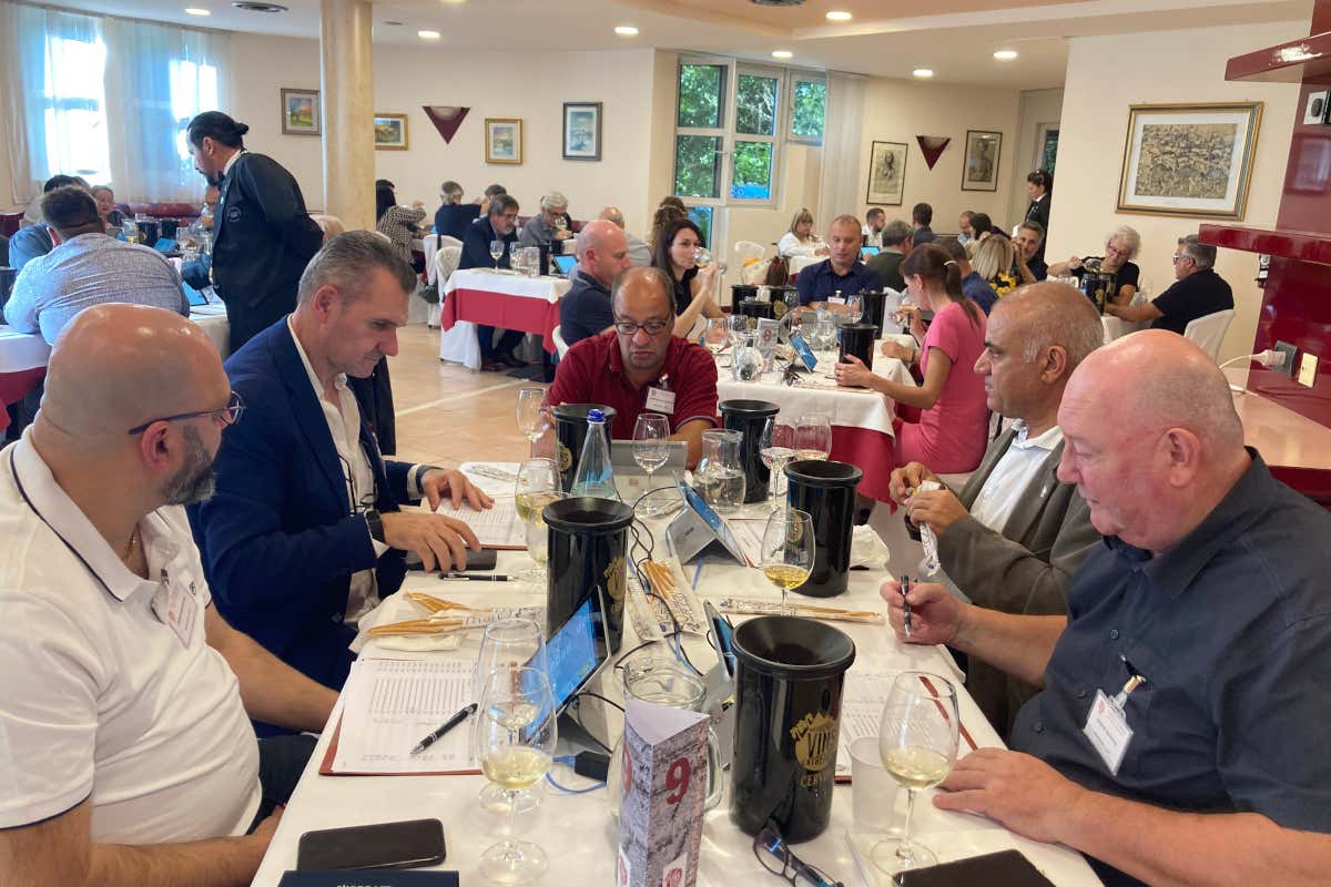 Mondial des Vins Extrêmes 2025: 123 medaglie per i vini eroici italiani Mondial des Vins Extrêmes 2025: 123 medaglie per i vini eroici italiani